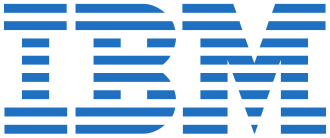 IBM logo Play for Professionals new BinalKamdar